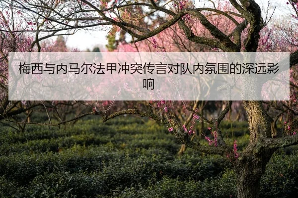 梅西与内马尔法甲冲突传言对队内氛围的深远影响